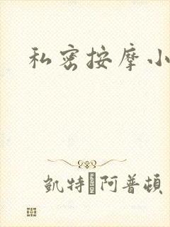 私密按摩小说