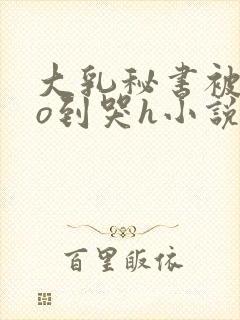 大乳秘书被cao到哭h小说