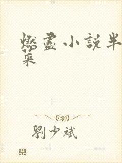 燃尽小说半截白菜