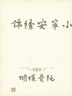 锦绣安宁小说
