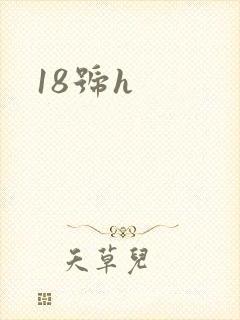 18号h