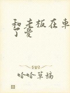 和老板在车里做了爱