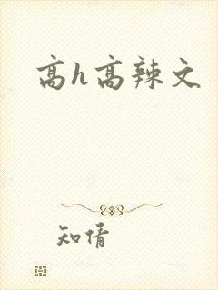 高h高辣文