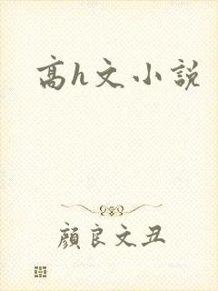 高h文小说