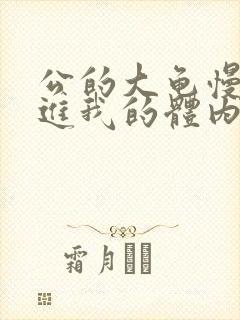 公的大龟慢慢挺进我的体内