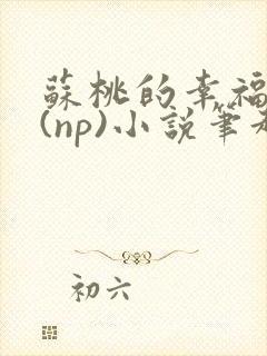 苏桃的幸福生活(np)小说笔趣阁沐沐