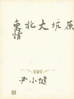 东北大坑原始激情