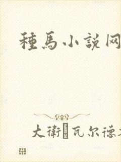 种马小说网