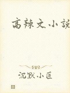 高辣文小说