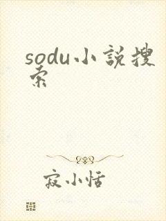 sodu小说搜索