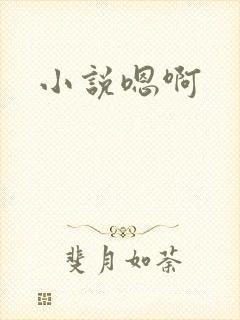 小说嗯啊