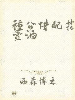 种公借配花间一壶酒