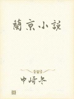 兰京小说