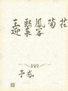 王熙凤菊花门初迎来客