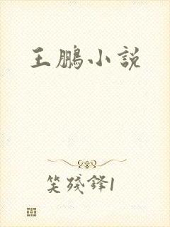 王鹏小说
