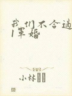 我们不合适1v1军婚