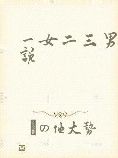 一女二三男事小说