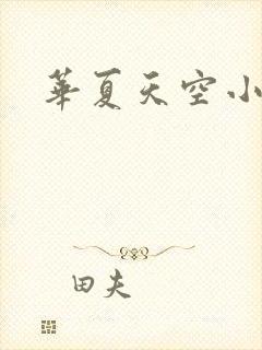 华夏天空小说网