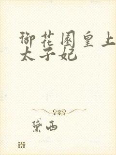 御花园皇上撞着太子妃