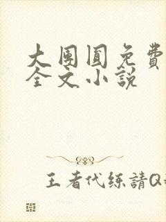 大团圆免费阅读全文小说