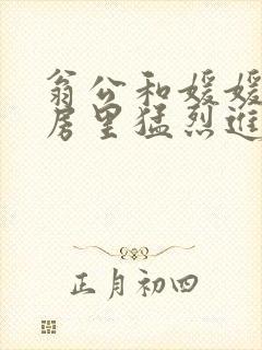 翁公和媛媛在厨房里猛烈进出