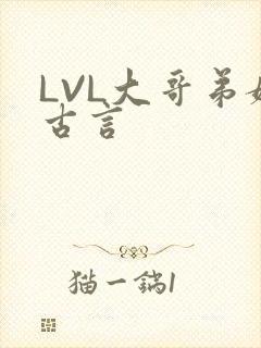 LVL大哥弟媳古言