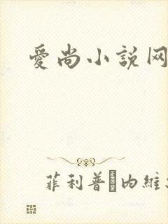 爱尚小说网