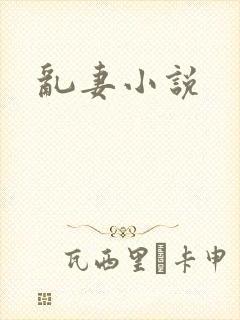 乱妻小说