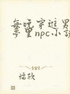 每晚穿进男神的梦里npc小说