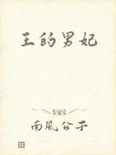 王的男妃