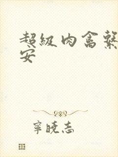 超级肉禽系统保安