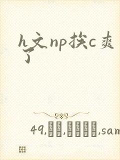 h文np挨c爽了