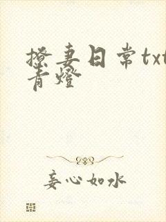 撩妻日常txt青灯