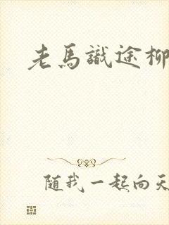 老马识途柳娇娇