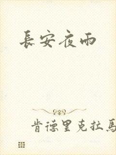 长安夜雨