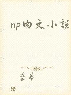 np肉文小说