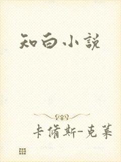 知白小说