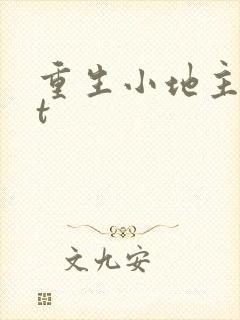 重生小地主txt