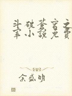 斗破苍穹之大主宰小说免费阅读全文