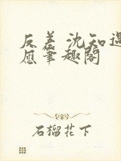 反差 沈知遇晏应笔趣阁