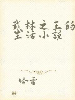 武林之王的退隐生活小说