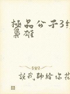 极品公子3续世枭雄