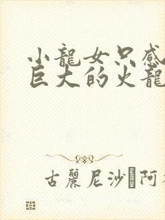 小龙女只感觉那巨大的火龙枪