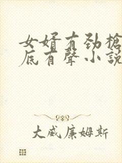 女婿有劲枪枪到底有声小说