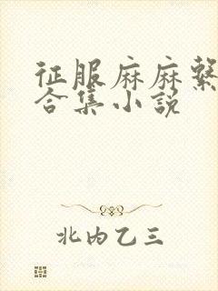 征服麻麻系列大合集小说