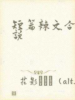 短篇辣文合集小说