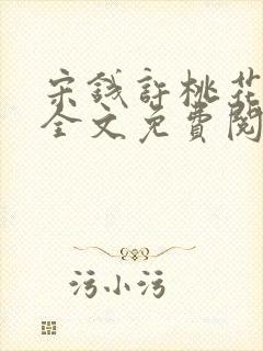 宋钱许桃花小说全文免费阅读