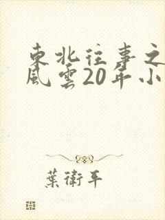 东北往事之黑道风云20年小说