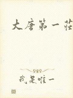 大唐第一庄
