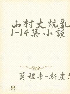 山村大炕乱肉续1-14集小说